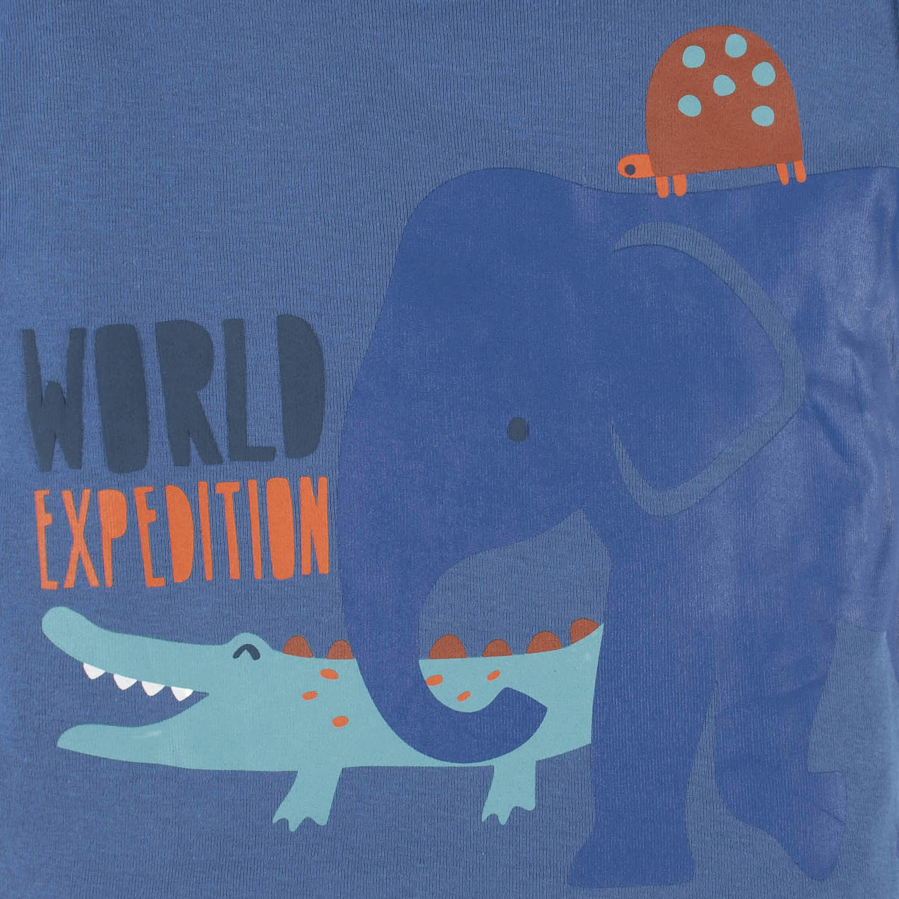 Thumbnail 7